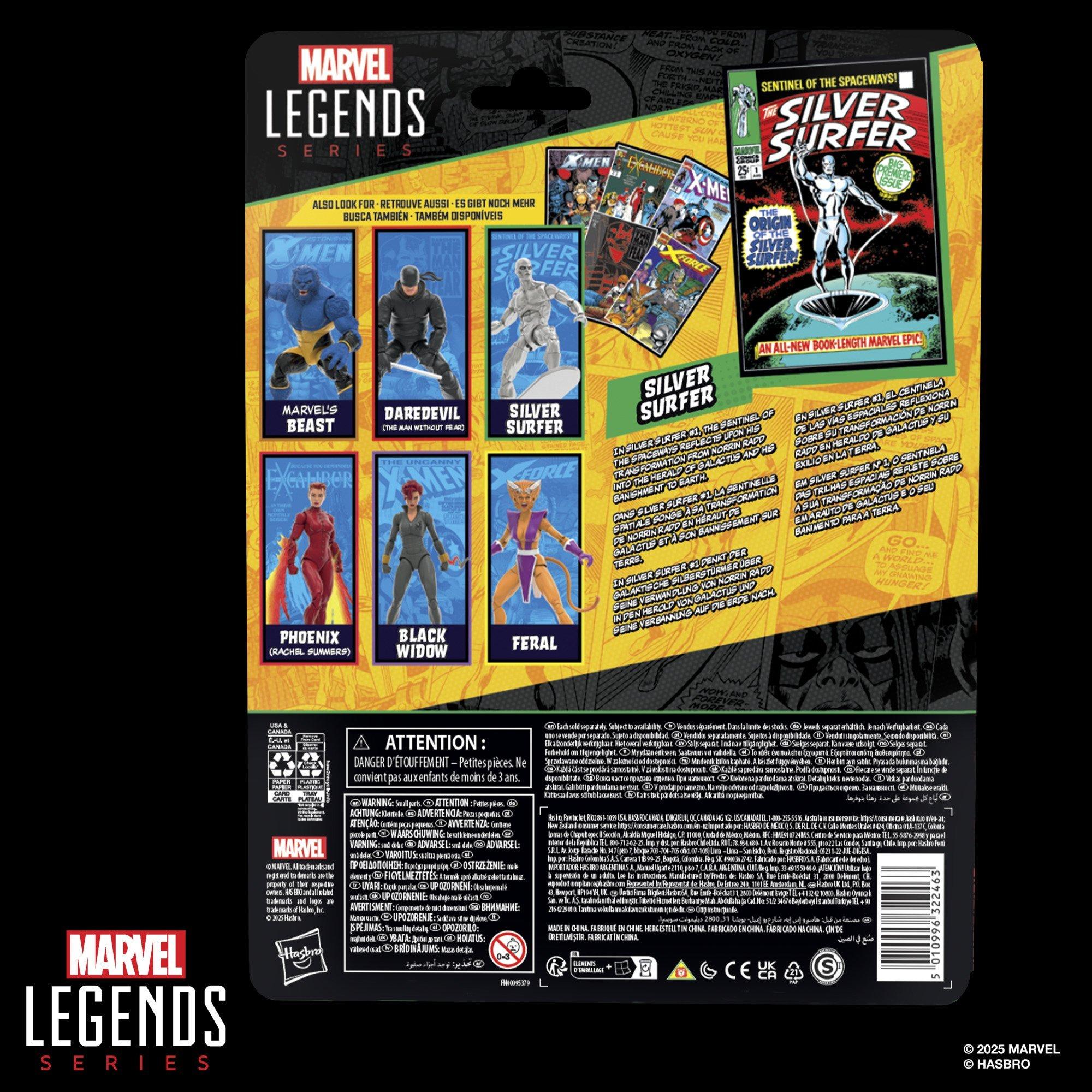 Marvel Legends Series Silver Surfer