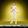STAR WARS The Vintage Collection Padmé Amidala (Geonosis), STAR WARS: Attack of the Clones